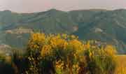 Monte della Serra